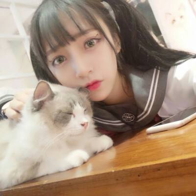 特工9手机版下载